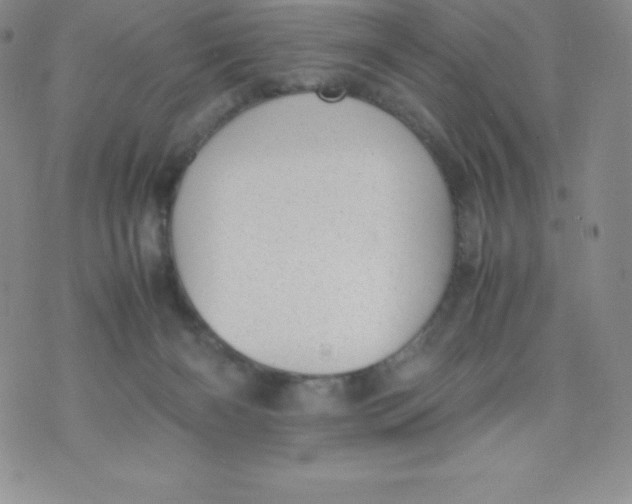 X0000070370126200606301906