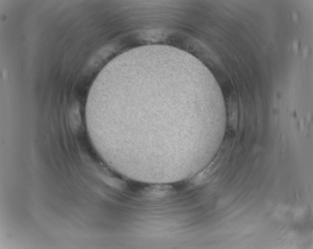 X0000070370128200606301906