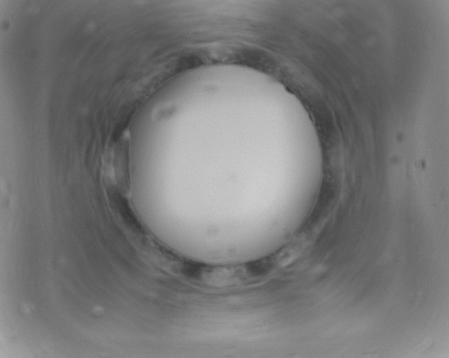 X0000070370129200606301906