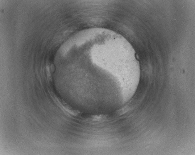 X0000070370130200606301906