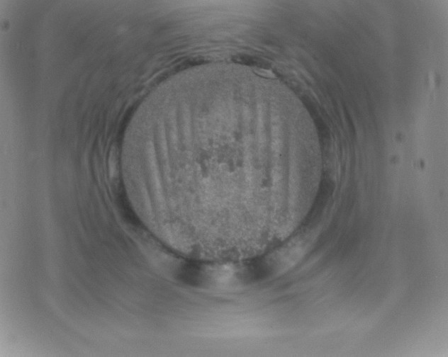 X0000070370131200606301906