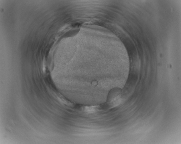 X0000070370134200606301906