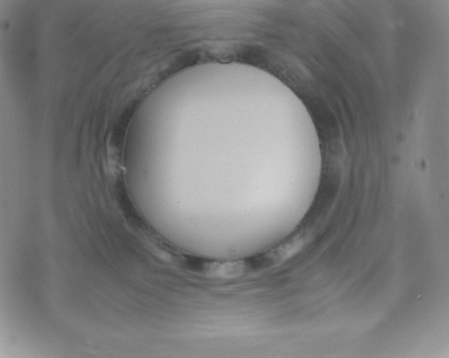 X0000070370135200606301906