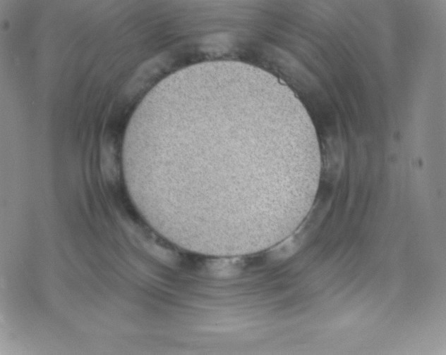 X0000070370136200606301906