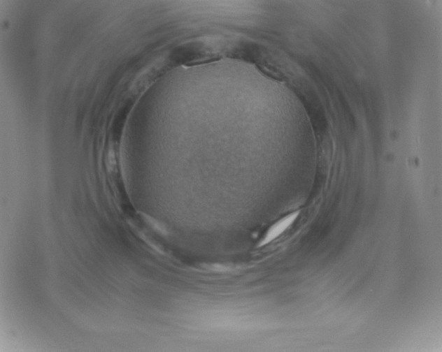 X0000070370137200606301906