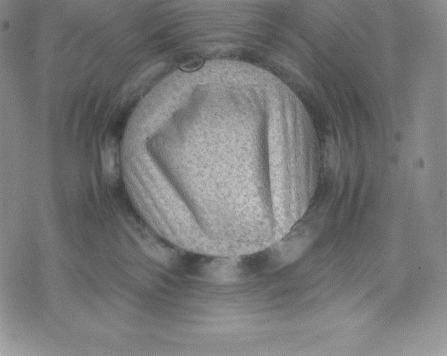 X0000070370138200606301906