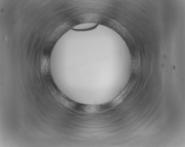 X0000070370142200606301905