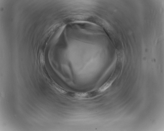 X0000070370143200606301905