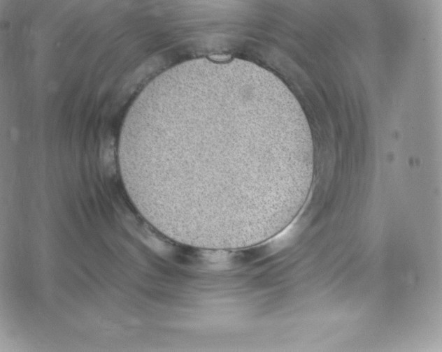 X0000070370144200606301905