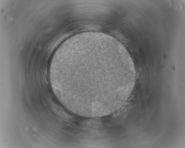 X0000070370146200606301905