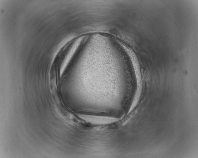 X0000070370148200606301905