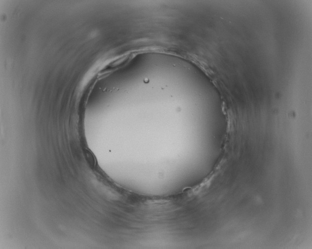 X0000070370150200606301905