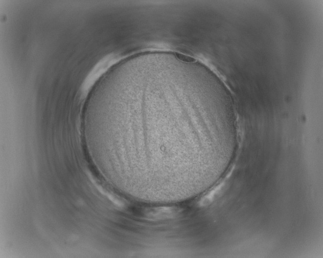 X0000070370151200606301905