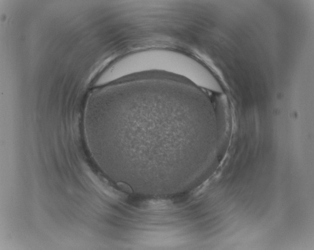 X0000070370154200606301905