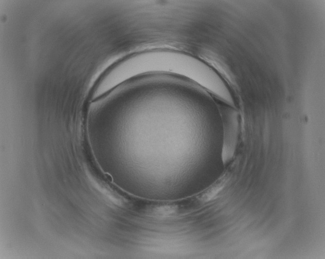 X0000070370156200606301905