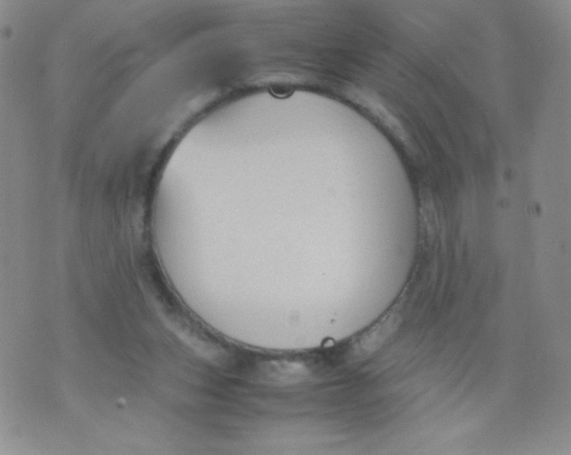 X0000070370159200606301905