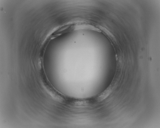 X0000070370160200606301905