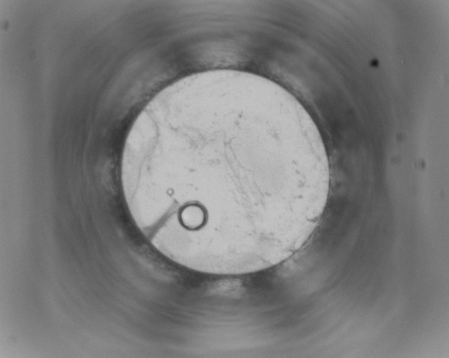 X0000070370162200606301905