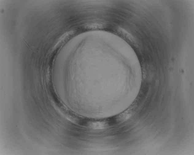 X0000070370163200606301905