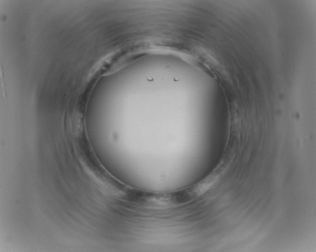 X0000070370164200606301905