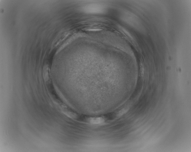 X0000070370169200606301905