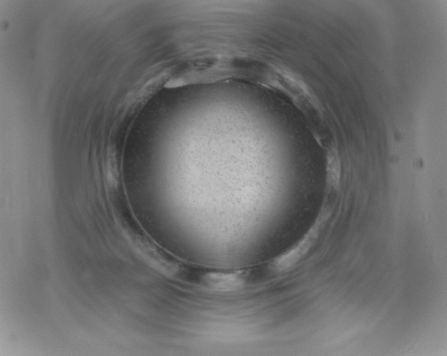 X0000070370170200606301905