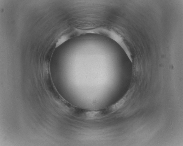 X0000070370172200606301905