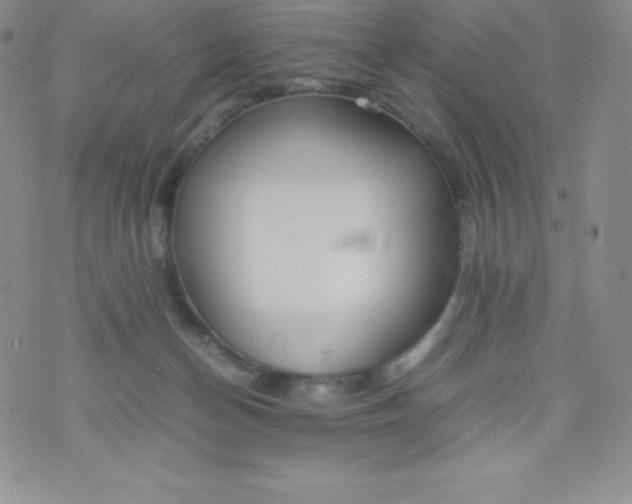 X0000070370174200606301905