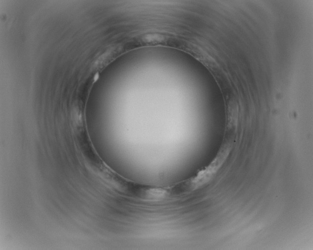 X0000070370176200606301905