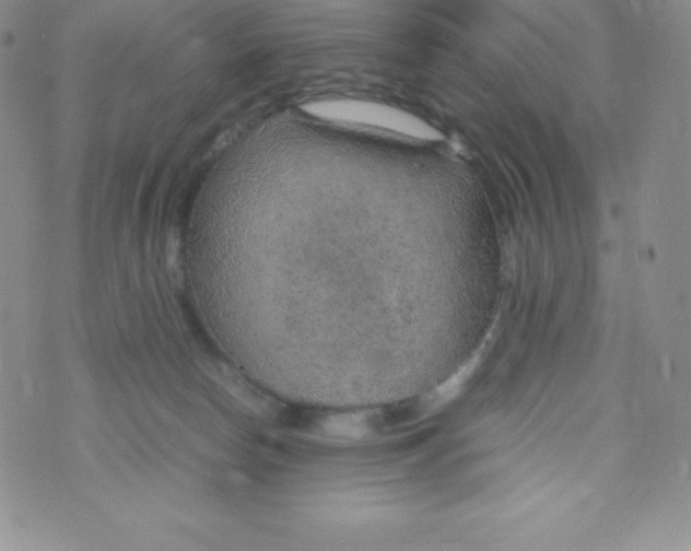 X0000070370178200606301905