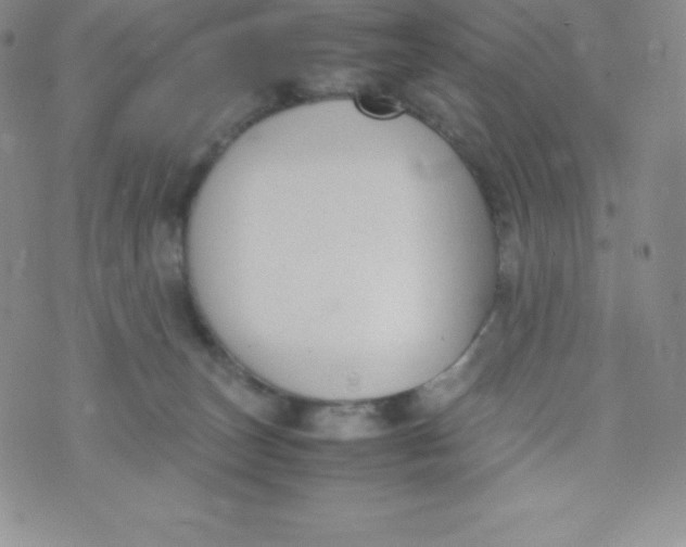 X0000070370179200606301905