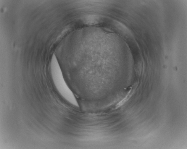 X0000070370180200606301905