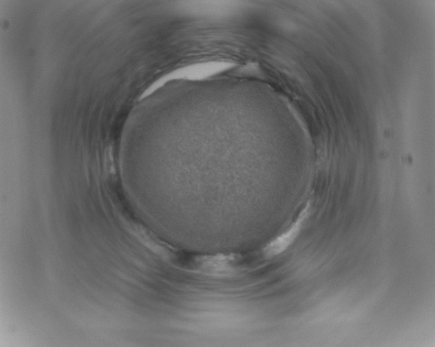 X0000070370182200606301905