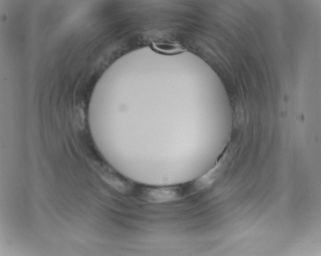 X0000070370183200606301905