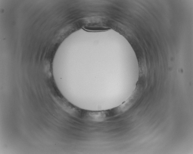 X0000070370187200606301905