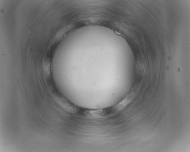 X0000070370188200606301905