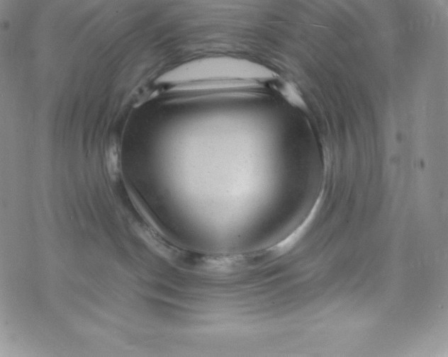 X0000070370190200606301905