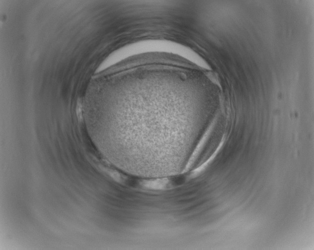 X0000070370191200606301905