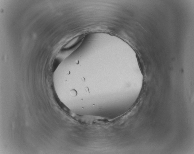 X0000070370193200606301905