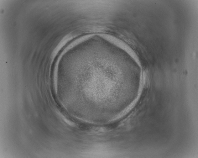 X0000070370195200606301905