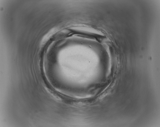 X0000070370197200606301905