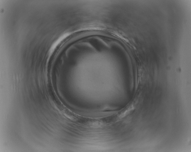 X0000070370200200606301905