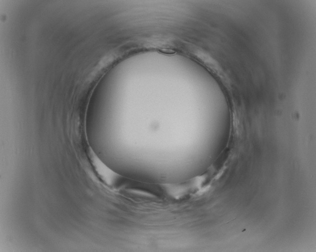 X0000070370201200606301905