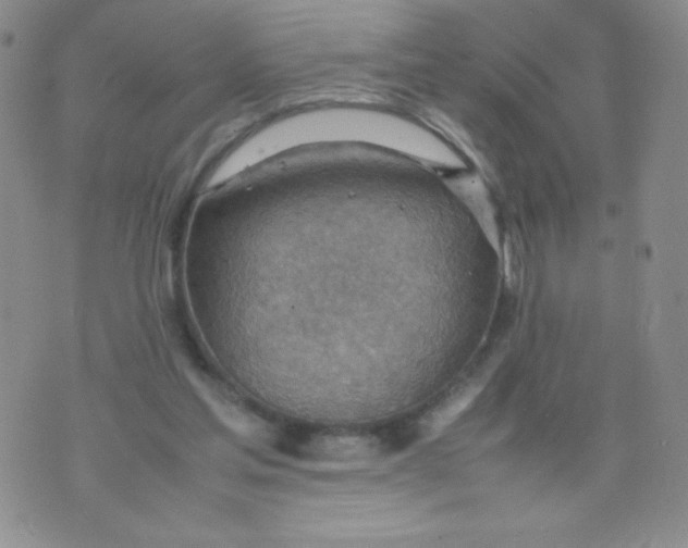 X0000070370205200606301904