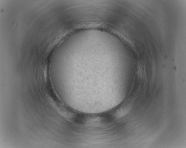 X0000070370206200606301904