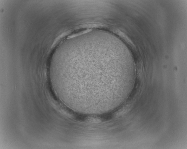 X0000070370207200606301904