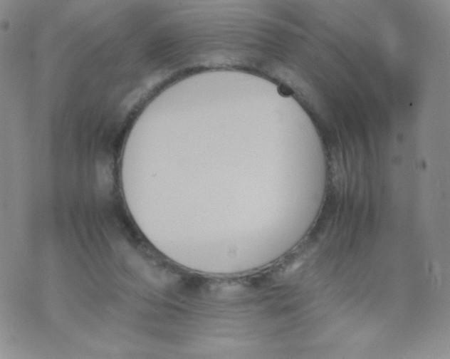 X0000070370208200606301904