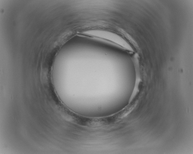 X0000070370209200606301904