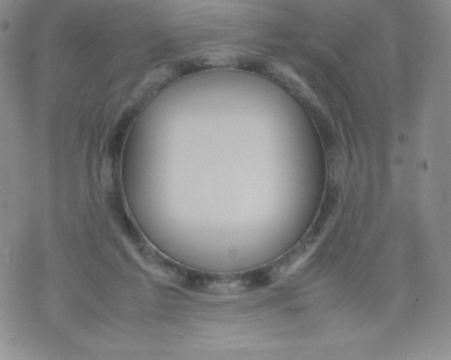 X0000070370213200606301904