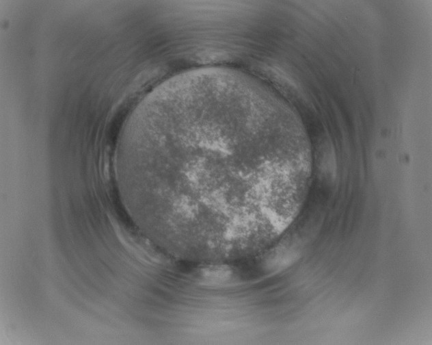 X0000070370214200606301904